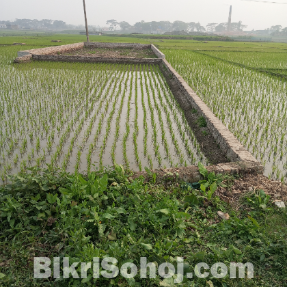 জমি
